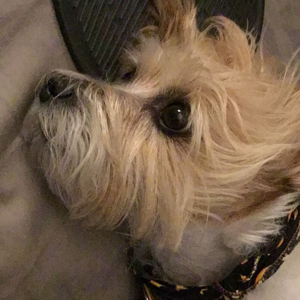 Meet your Posher, Judy